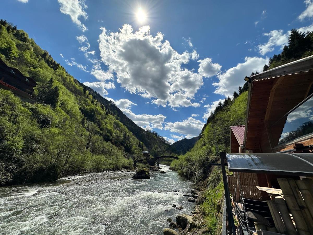 Tuva Villa Bungalov Camlihemsin Экстерьер фото